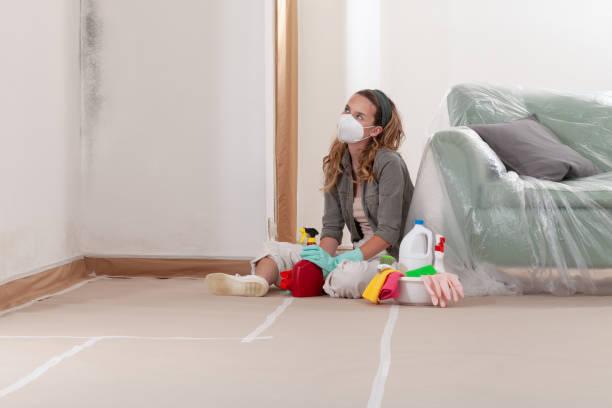 Reliable Mold Remediation contractor in Germantown, MD by Car Mold Remediation